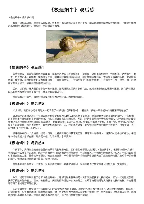 《极速蜗牛》观后感