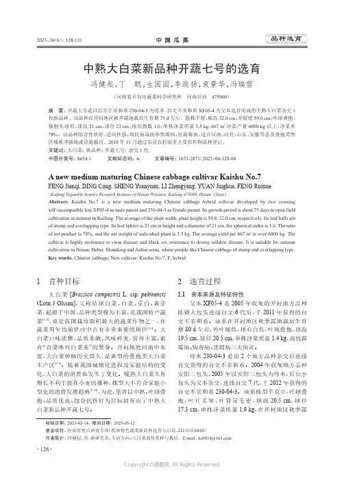 中熟大白菜新品种开蔬七号的选育