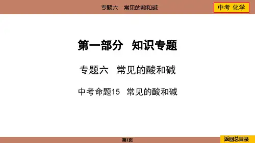 2024年中考化学总复习专题六常见的酸和碱中考命题15常见的酸和碱