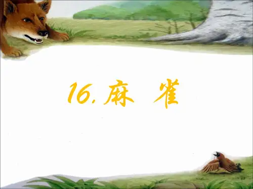 小学四年级语文《麻雀》公开课3课件PPT