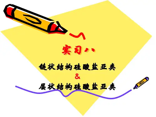 矿物学 实习八 链状和层状硅酸盐亚类及图2011
