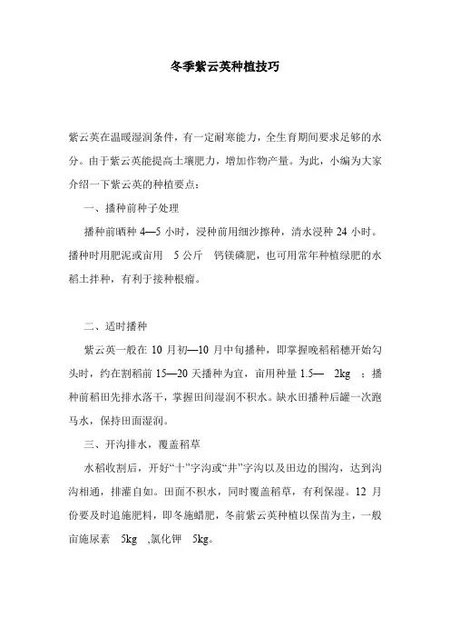 冬季紫云英种植技巧.doc