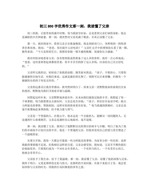 初三800字优秀作文那一刻,我读懂了父亲