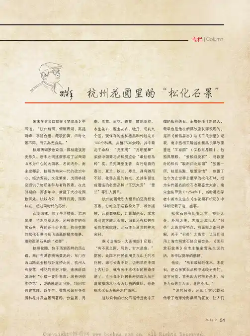 杭州花圃里的“松化石景”