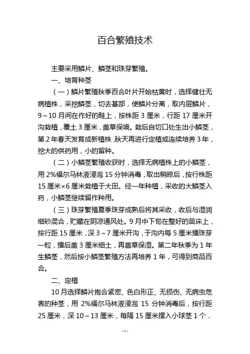 百合繁殖技术