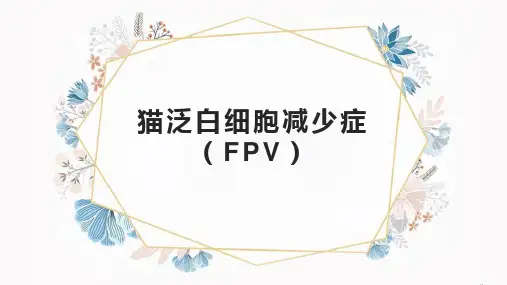 宠物疾病防治技术：猫泛白细胞减少症