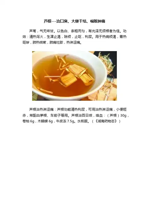 芦根---治口臭、大便干结、咽喉肿痛