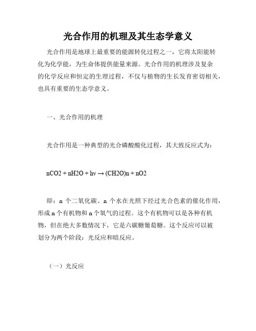 光合作用的机理及其生态学意义