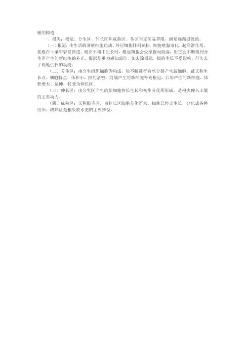 根的构造