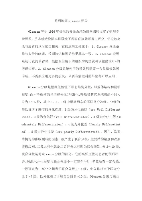 前列腺癌Gleason评分