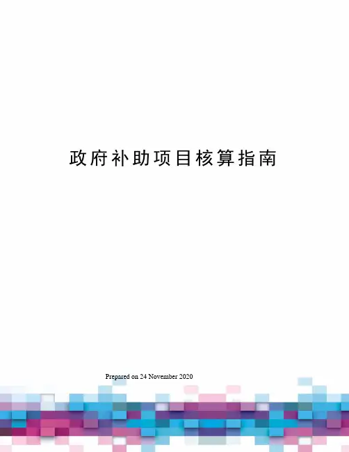 政府补助项目核算指南