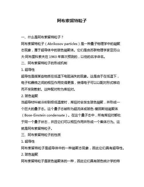 阿布索留特粒子