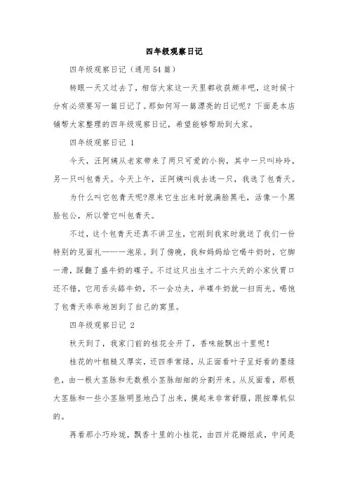 四年级观察日记