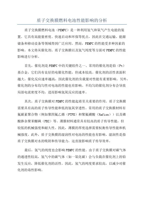 质子交换膜燃料电池性能影响的分析
