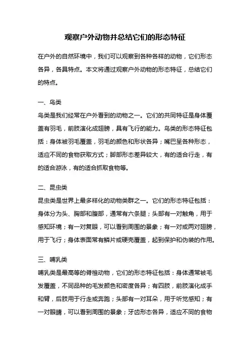 观察户外动物并总结它们的形态特征