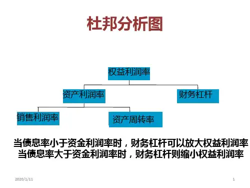 杜邦分析图PPT课件