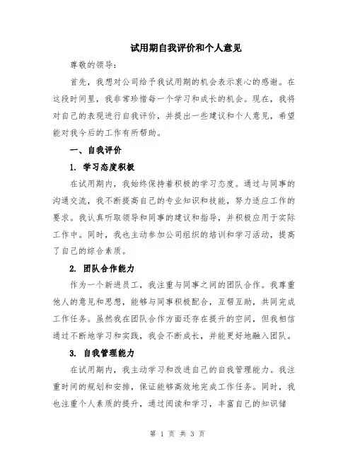 试用期自我评价和个人意见