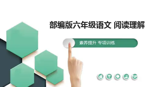 部编版六年级语文阅读理解 轮椅上的霍金 课件