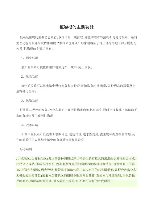 植物根的主要功能