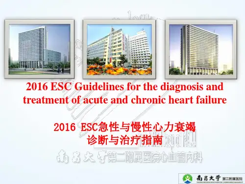 (完整版)2016ESC急性与慢性心力衰竭诊断与治疗指南