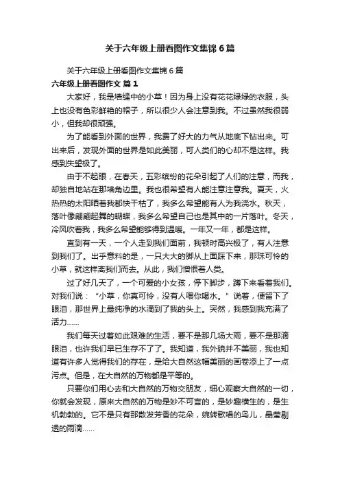 关于六年级上册看图作文集锦6篇