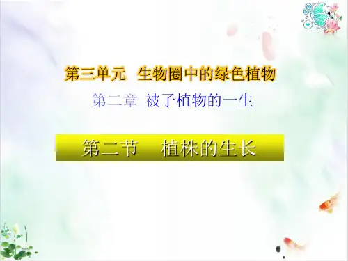 人教版《植株的生长》优质推荐PPT