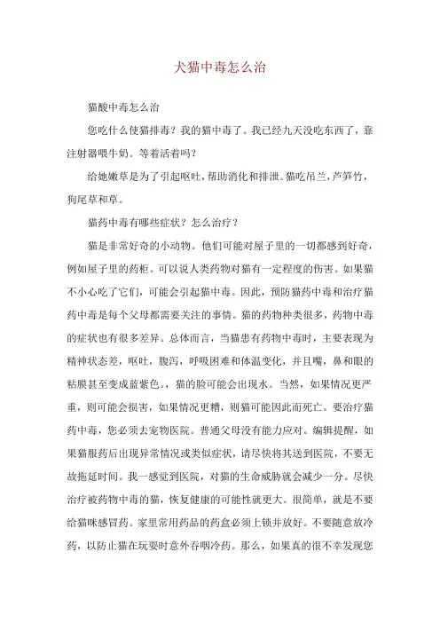 犬猫中毒怎么治