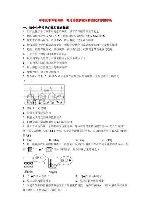 中考化学专项训练：常见的酸和碱同步测试含答案解析