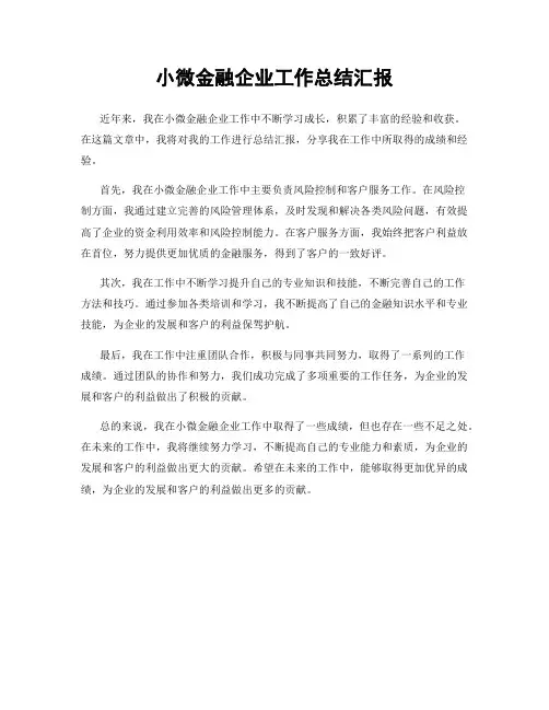 小微金融企业工作总结汇报