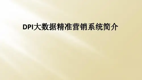 DPI大数据精准营销系统简介