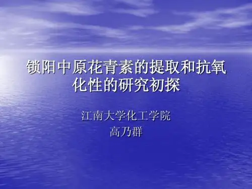 实验计划  高乃群Microsoft PowerPoint 演示文稿