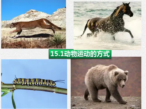 第一节动物运动的方式课件北师大版生物八年级上册+