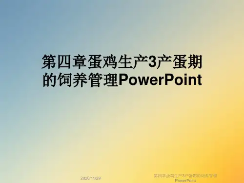 第四章蛋鸡生产3产蛋期的饲养管理PowerPoint
