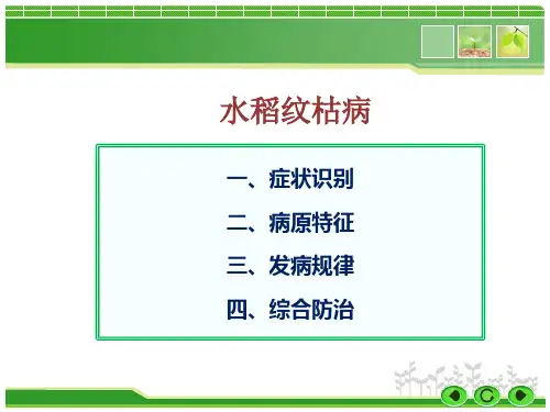 水稻纹枯病防治