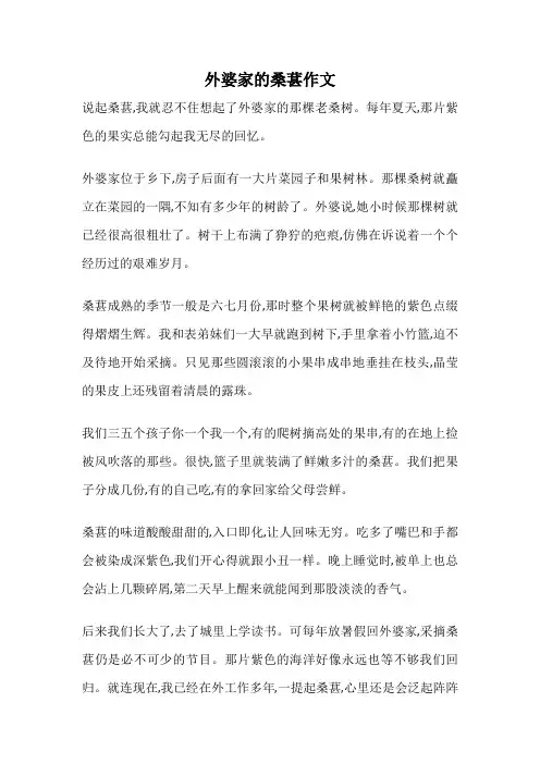 外婆家的桑葚作文