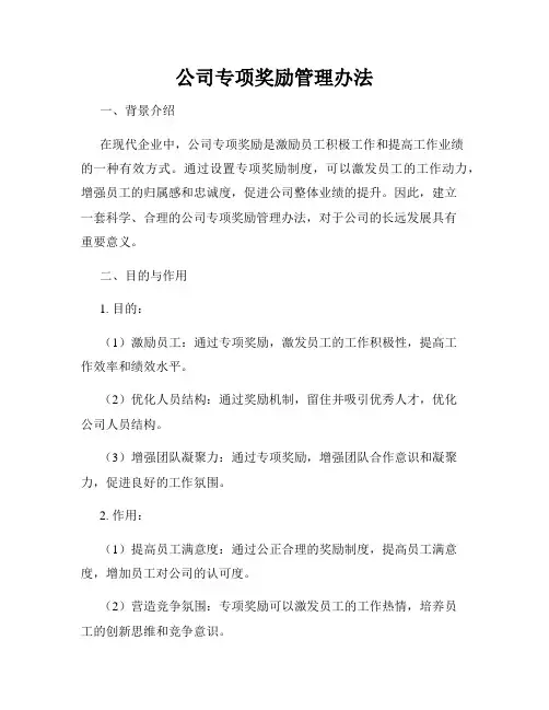 公司专项奖励管理办法