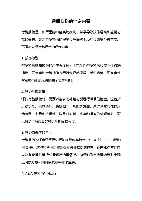 脊髓损伤的评定内容