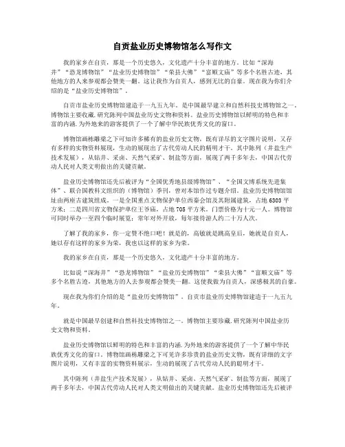 自贡盐业历史博物馆怎么写作文