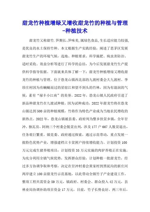 甜龙竹种植增绿又增收 甜龙竹的种植与管理 - 种植技术