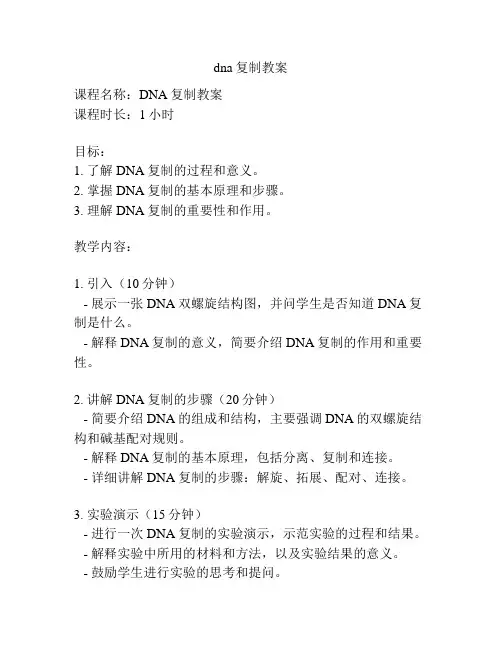 dna复制教案