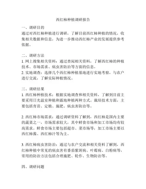 西红柿种植调研报告