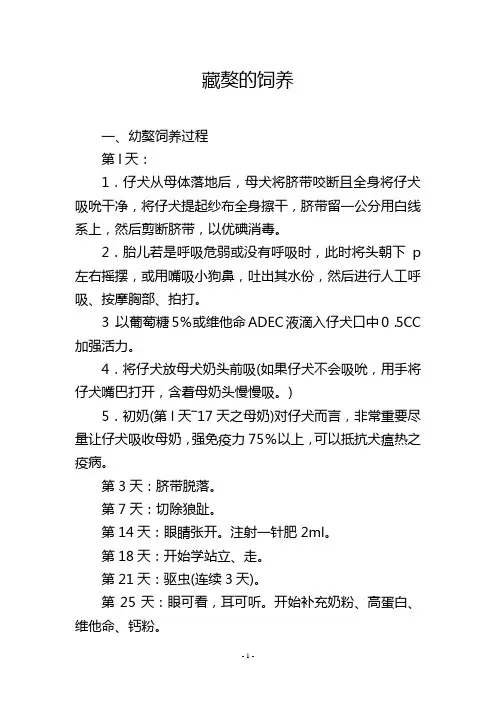 藏獒的饲养