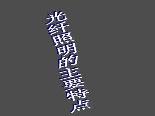 光纤照明PPT