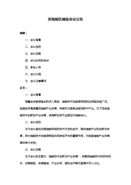 滨海新区储能会议公告