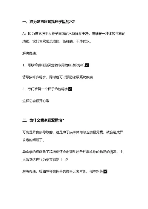 猫咪常见行为解读