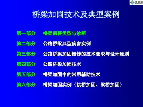 桥梁加固技术及典型案例413页(附图丰富)