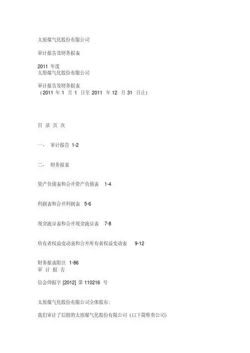 煤气化公司审计报告和财务分析