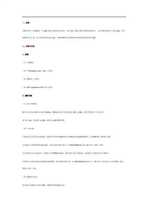 抗体的纯化