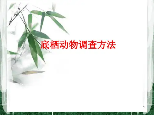 底栖动物调查方法