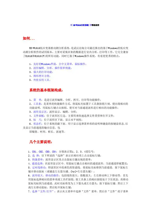 《RS-W1616分析系统》帮助说明